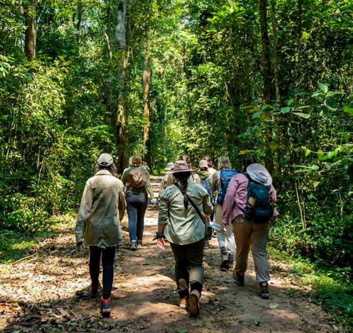 uganda-primate-safaris