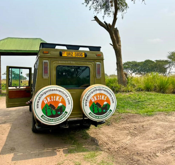 uganda-safaris-with-akiiki-gorilla-adventures