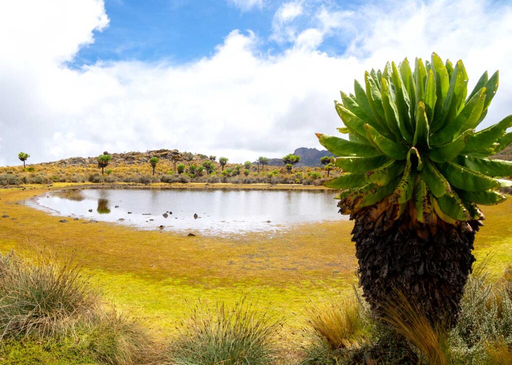 mount-elgon-national-park