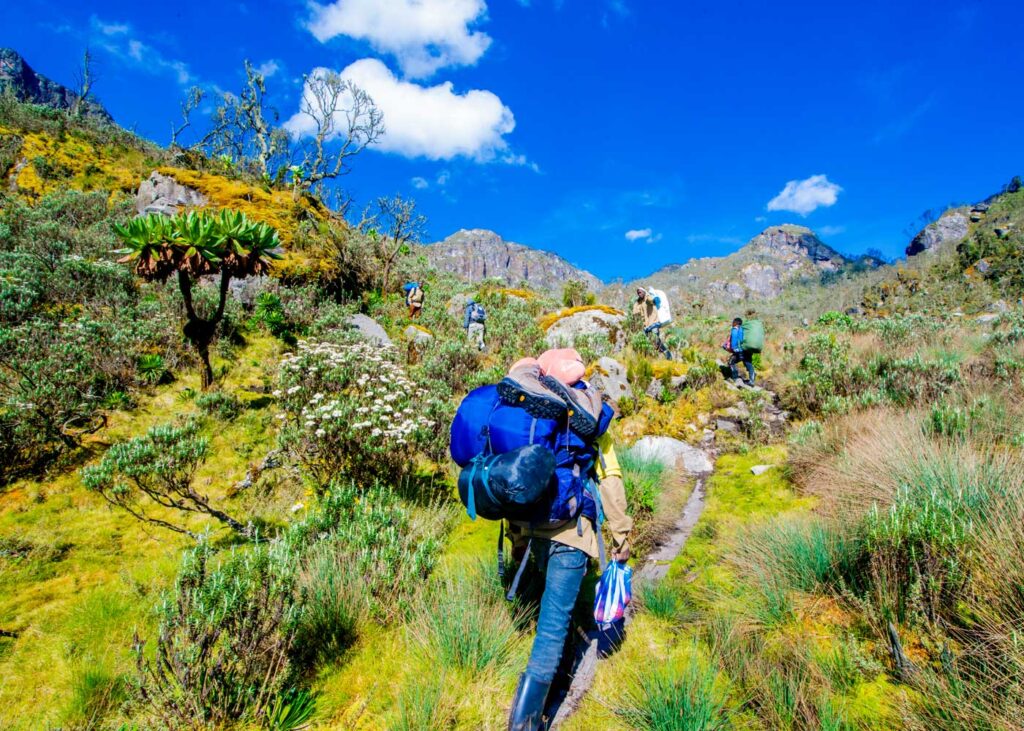 rwenzori-mountains-national-park